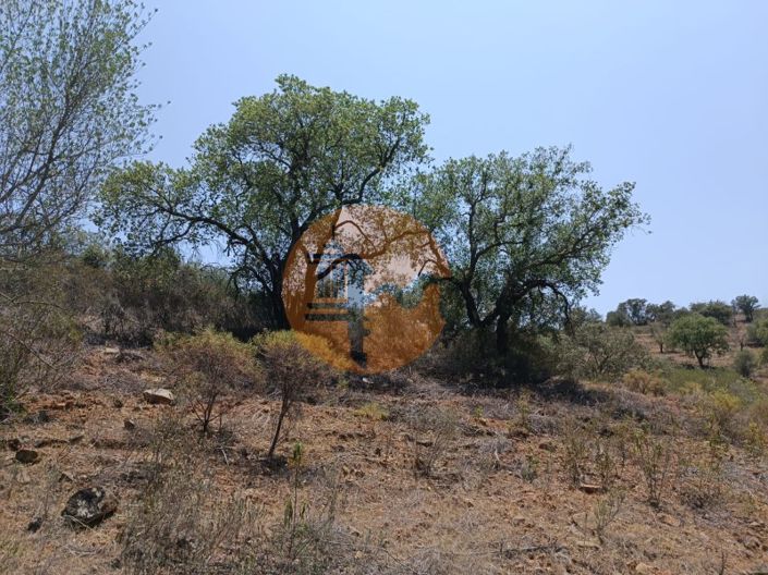 Image No.23-Plot for sale