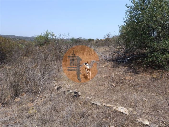 Image No.25-Plot for sale