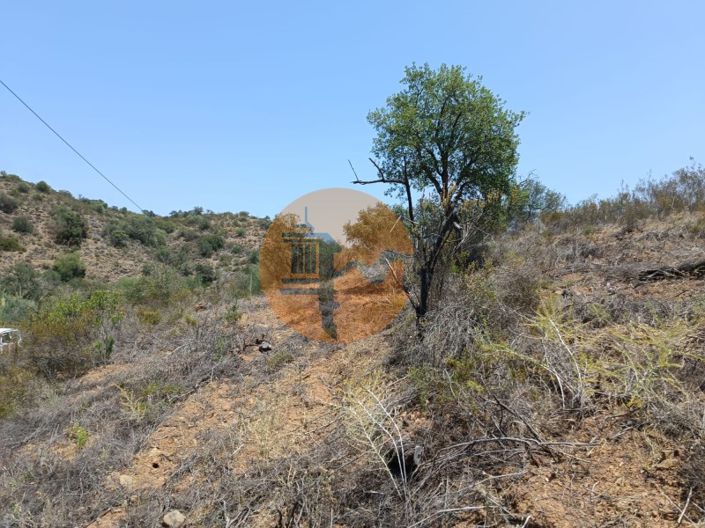 Image No.26-Plot for sale