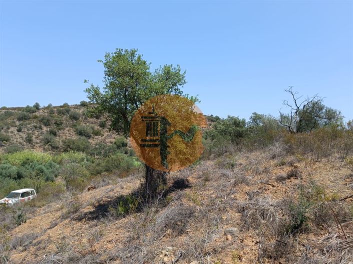 Image No.27-Plot for sale