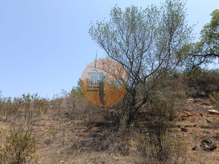 Image No.28-Plot for sale