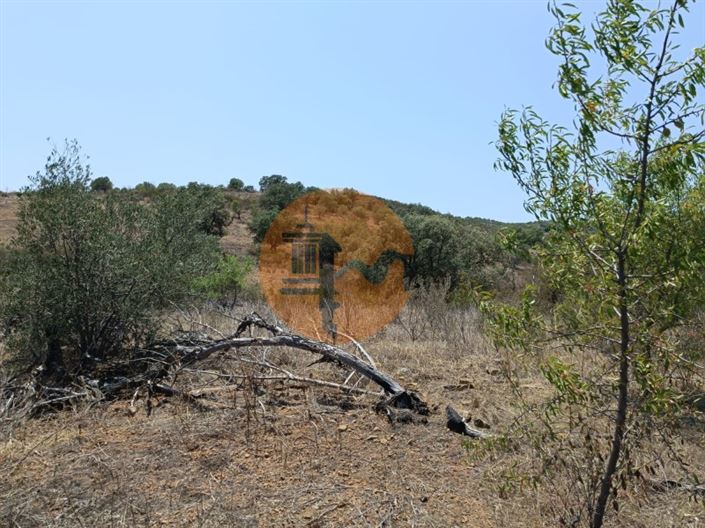 Image No.39-Plot for sale