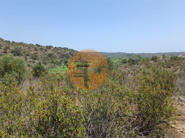 Image No.42-Plot for sale