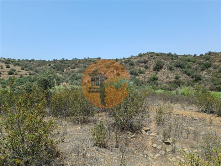 Image No.44-Plot for sale