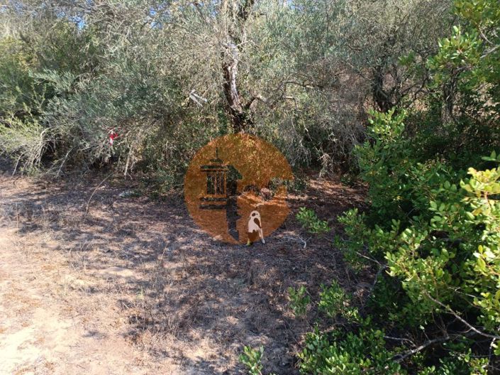 Image No.11-Plot for sale