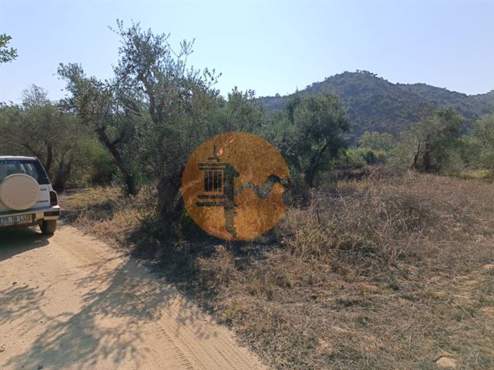 Image No.12-Plot for sale