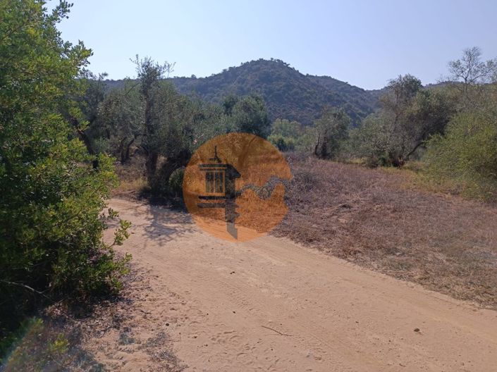 Image No.13-Plot for sale