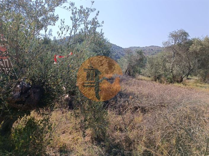 Image No.23-Plot for sale