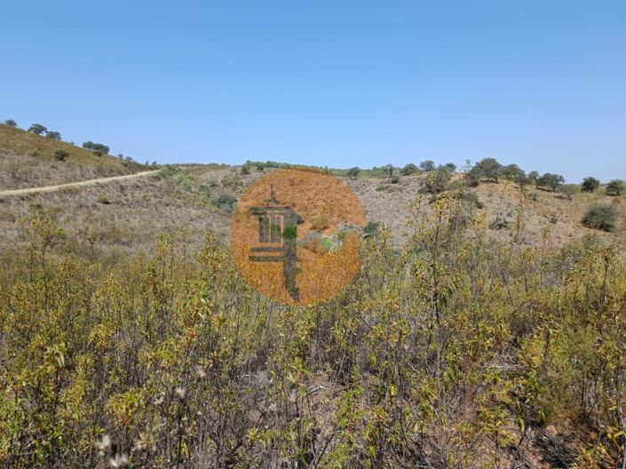 Image No.11-Plot for sale