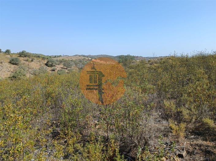 Image No.13-Plot for sale