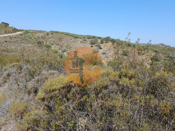 Image No.15-Plot for sale