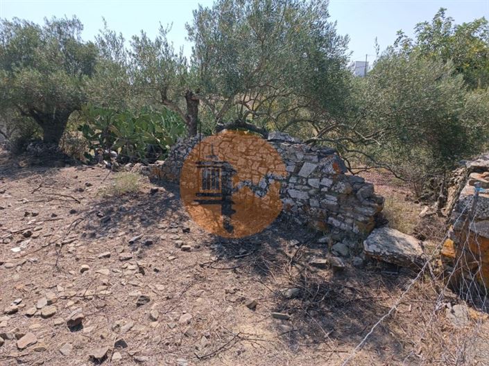 Image No.13-Plot for sale