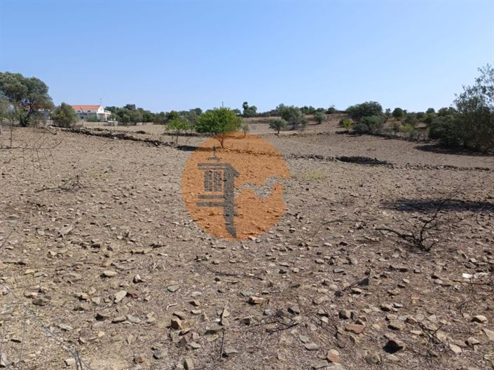 Image No.8-Plot for sale