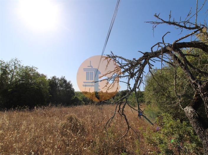 Image No.10-Plot for sale