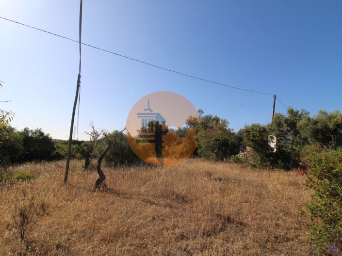 Image No.4-Plot for sale