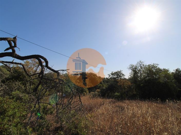 Image No.3-Plot for sale