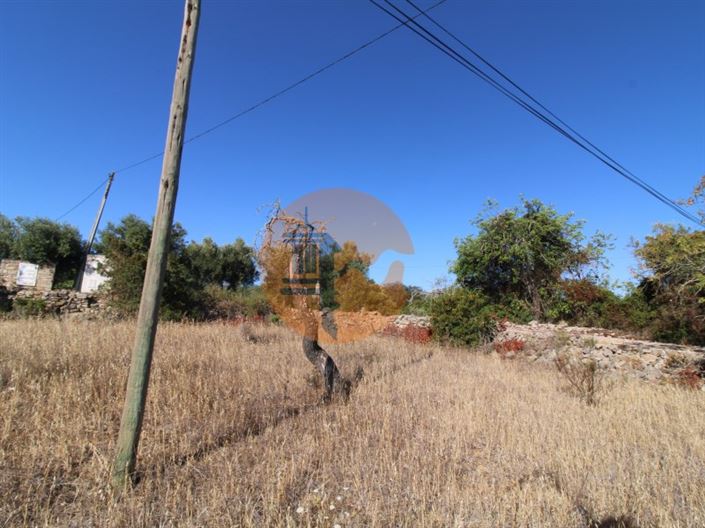 Image No.6-Plot for sale