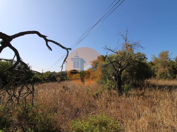 Image No.8-Plot for sale