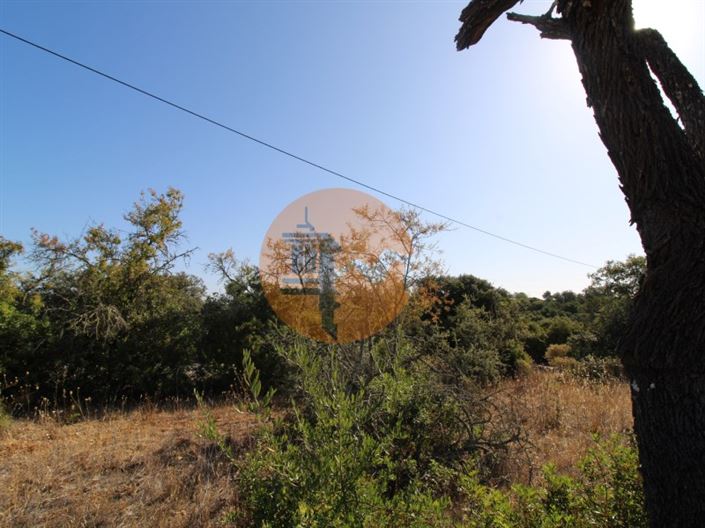 Image No.9-Plot for sale