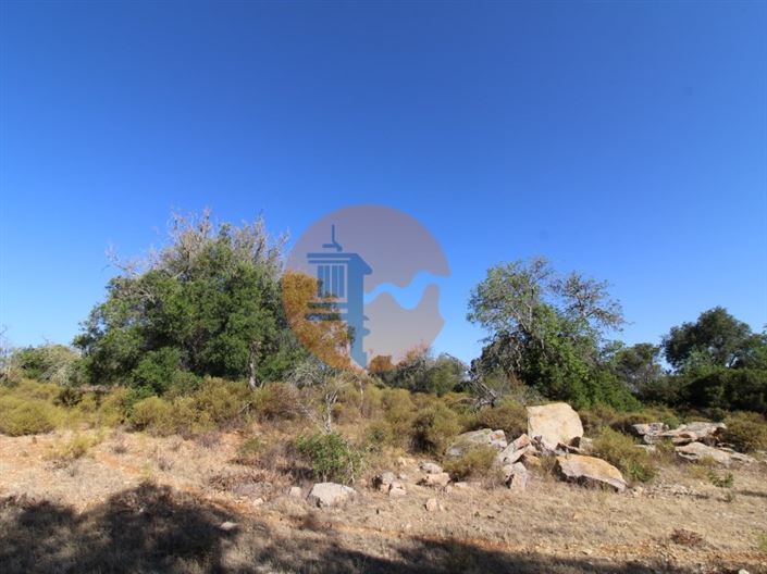 Image No.17-Plot for sale