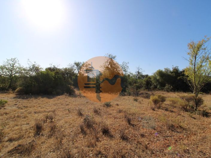 Image No.6-Plot for sale