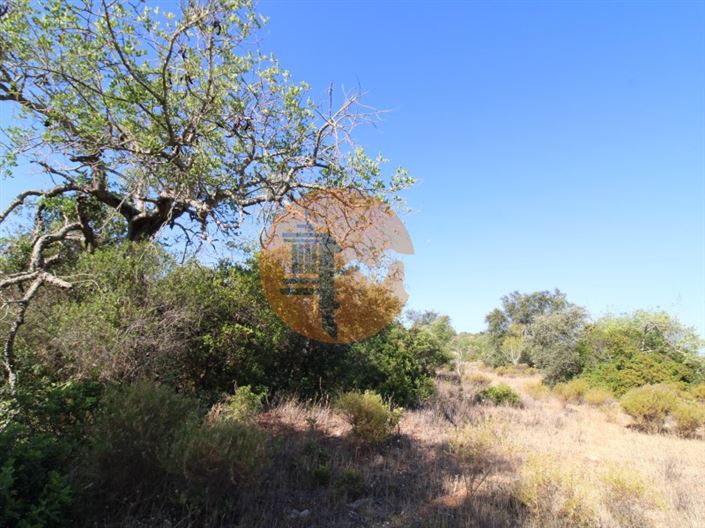 Image No.9-Plot for sale