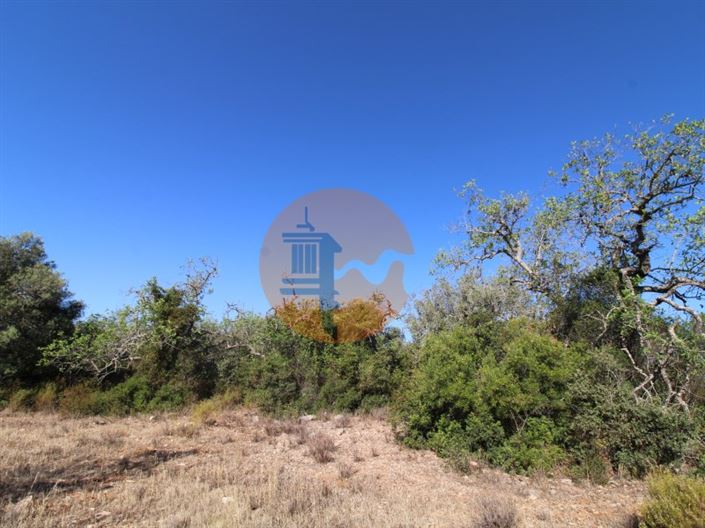 Image No.10-Plot for sale