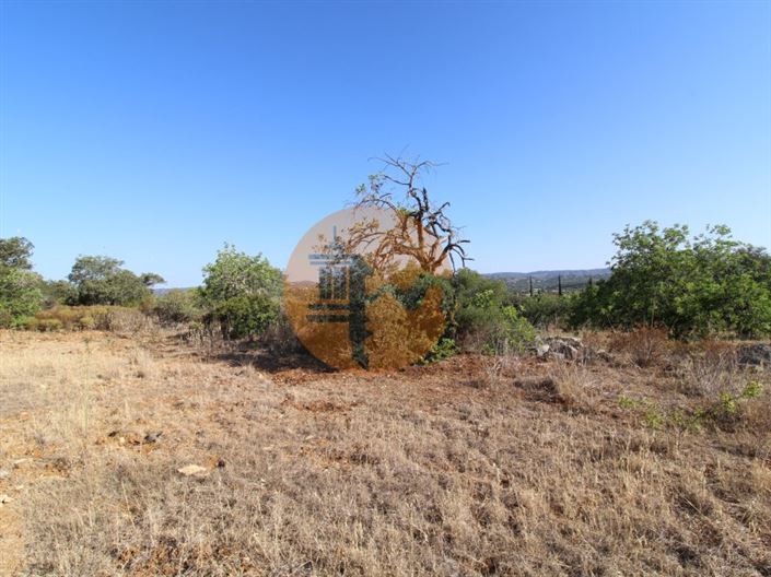 Image No.14-Plot for sale