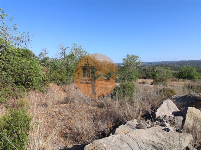 Image No.4-Plot for sale