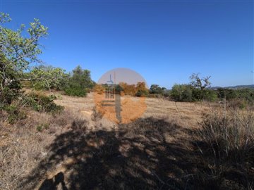 id2f016f01-0000-0500-0000-000011aad45a