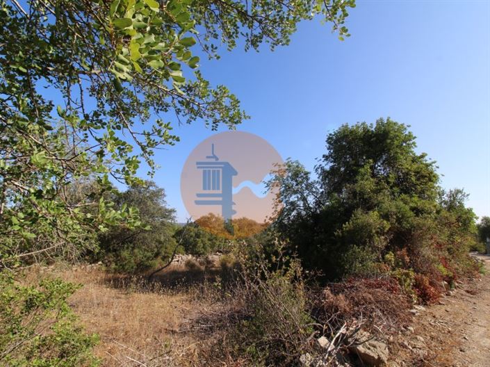 Image No.4-Plot for sale