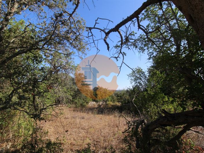 Image No.7-Plot for sale