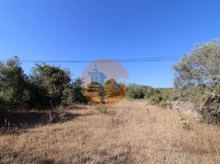 Image No.3-Plot for sale