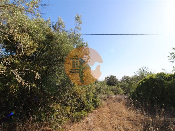 Image No.6-Plot for sale