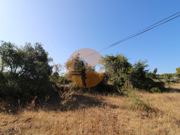 Image No.5-Plot for sale