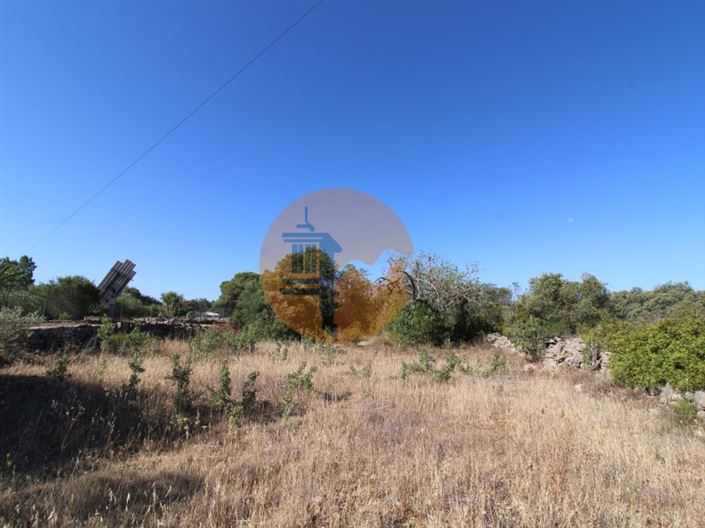 Image No.2-Plot for sale