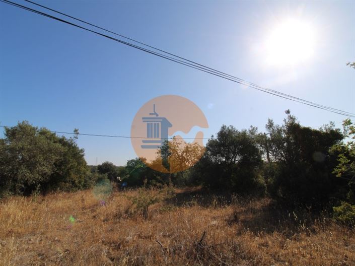 Image No.11-Plot for sale