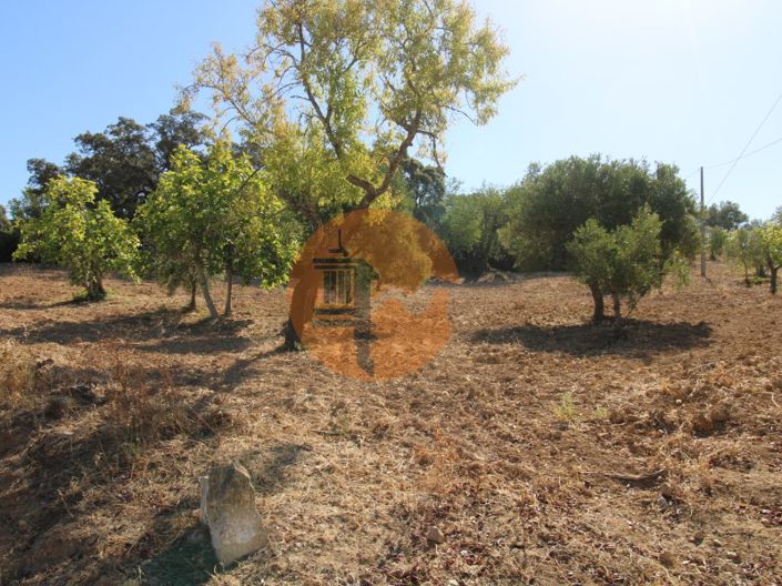Image No.1-Plot for sale
