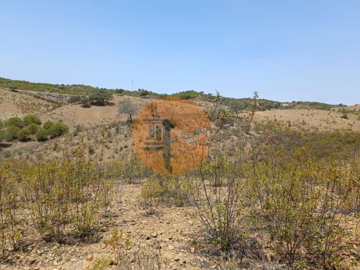 Image No.11-Plot for sale