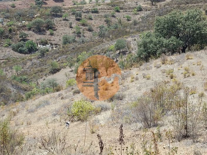 Image No.12-Plot for sale