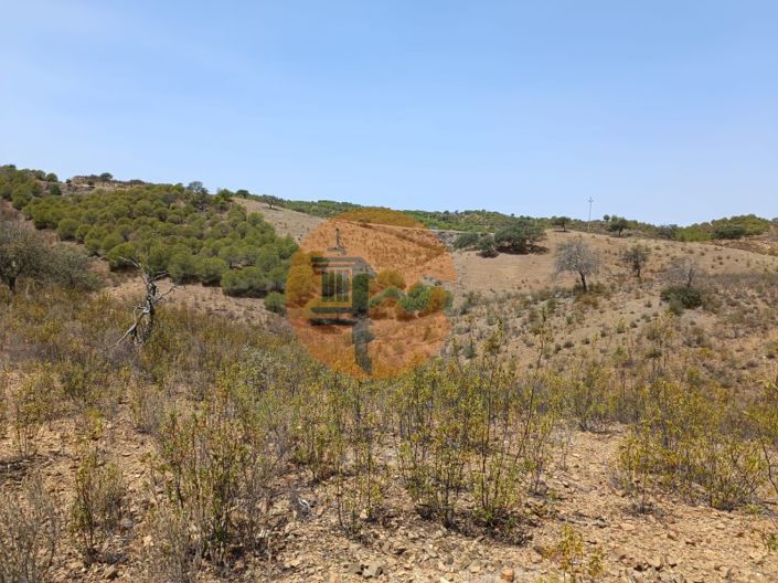 Image No.13-Plot for sale