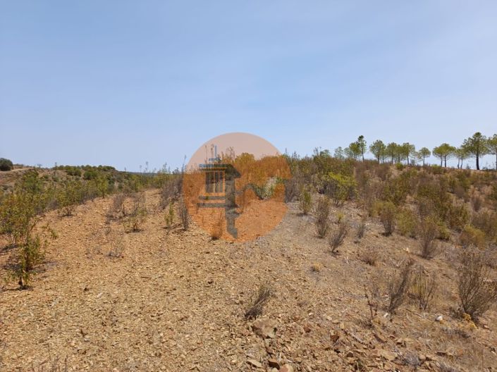 Image No.16-Plot for sale