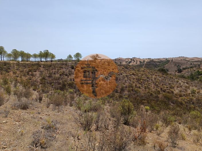 Image No.18-Plot for sale