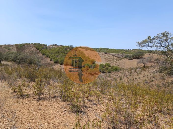 Image No.25-Plot for sale