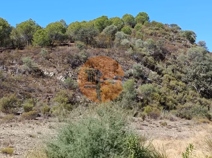 Image No.11-Plot for sale