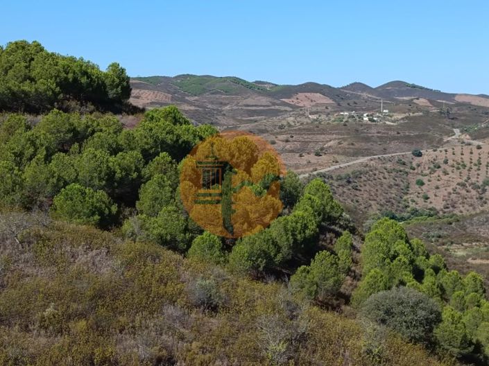 Image No.12-Plot for sale