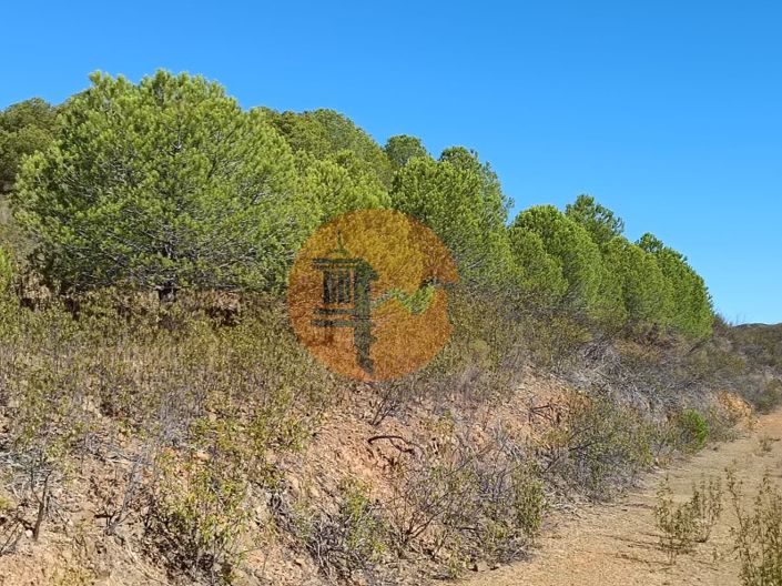 Image No.14-Plot for sale