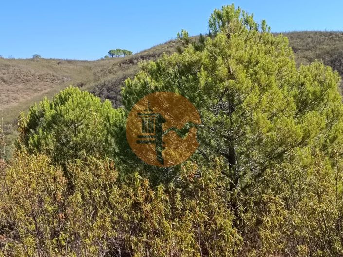 Image No.19-Plot for sale