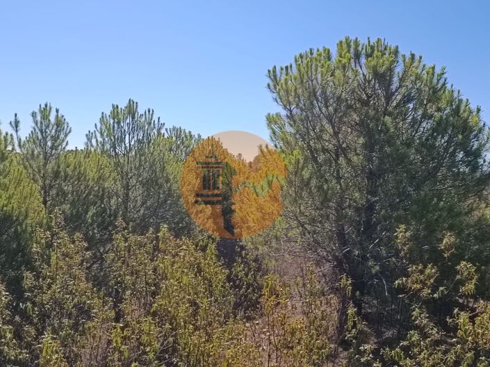 Image No.21-Plot for sale