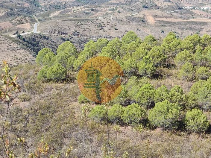 Image No.27-Plot for sale